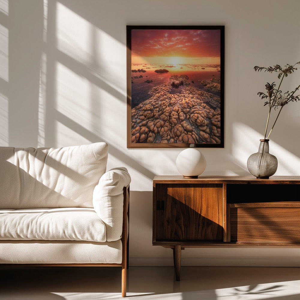 Low tide on the lagoon of Saint Leu. Poster