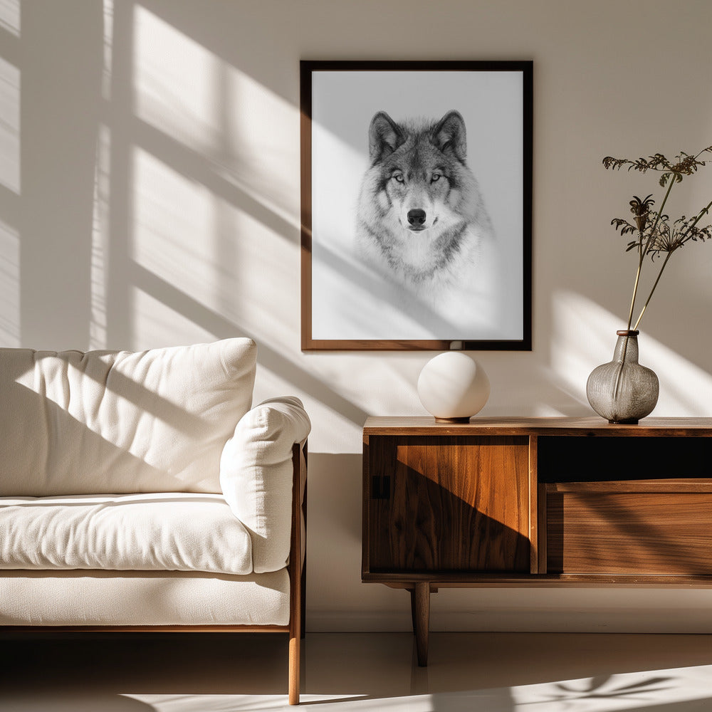 Portrait of a Timber Wolf Poster