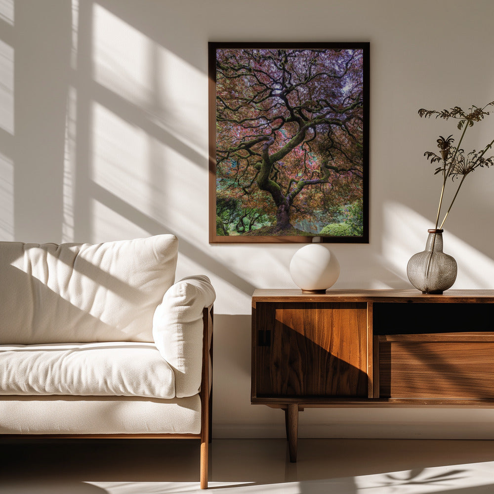 Japanese Maple Tree Poster