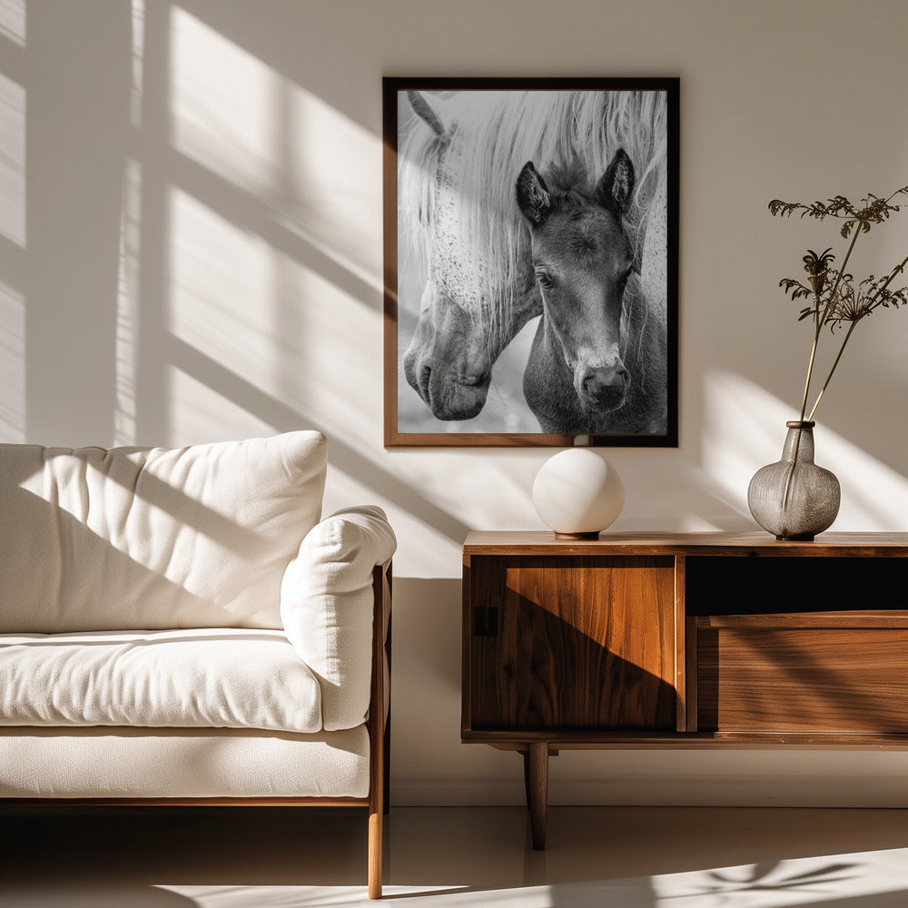 The Foal Poster