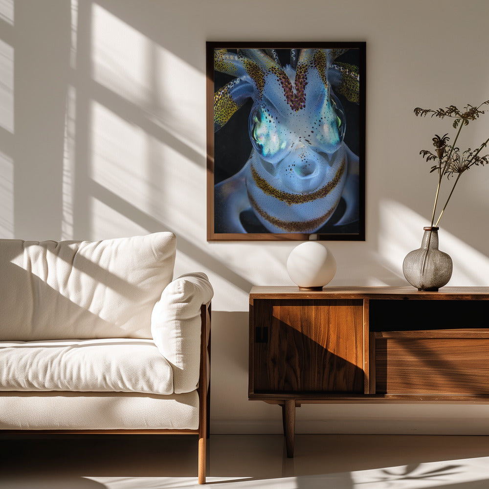 Squid close up Poster