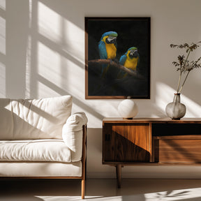 Macaw Parrots Poster