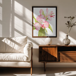 Pink watercolor alstroemeria Poster