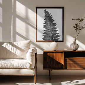 Gray fern leaf Poster