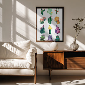 Collection of cacti Poster