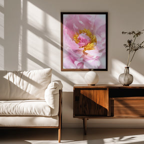 Pink peony I Poster