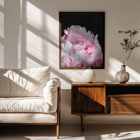 Pink peony VIII Poster