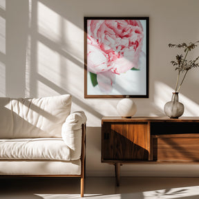 Blush peony VII Poster