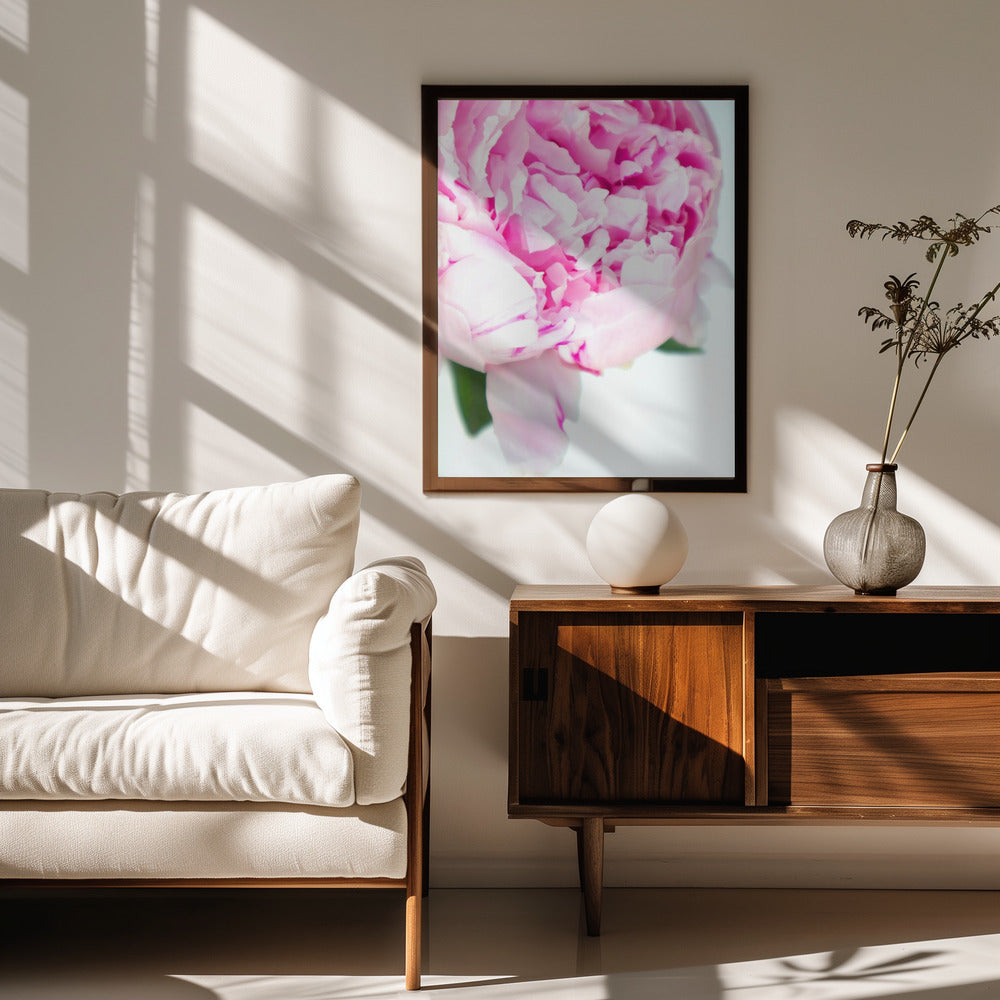 Pink peony VII Poster