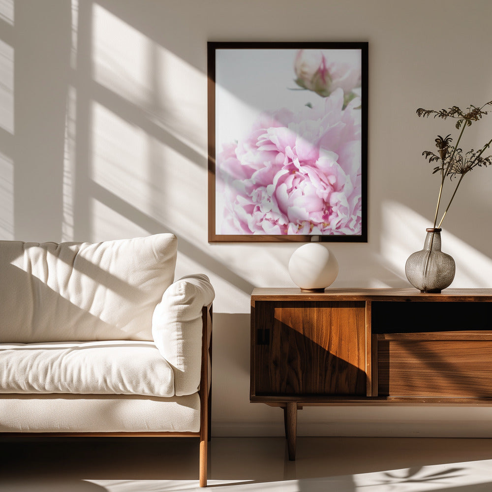 Subdued peony IX Poster