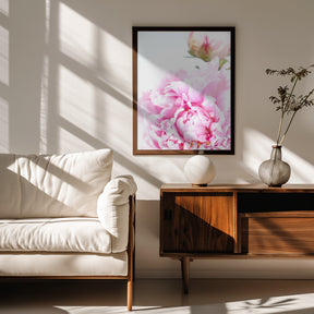 Pink peony IX Poster