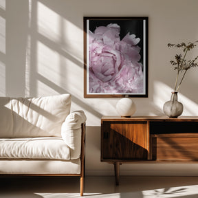 Enjoy the little things peony Poster