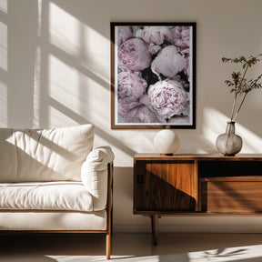 Smile and dream peonies Poster