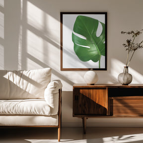 Bright green monstera leaf Poster