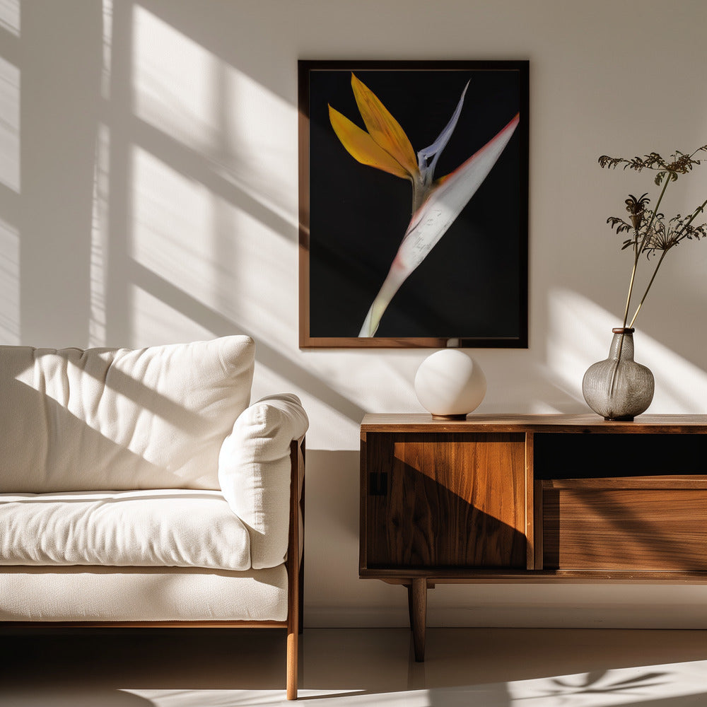 Bird of Paradise Poster