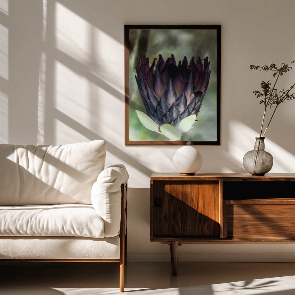 King Protea 01 Poster