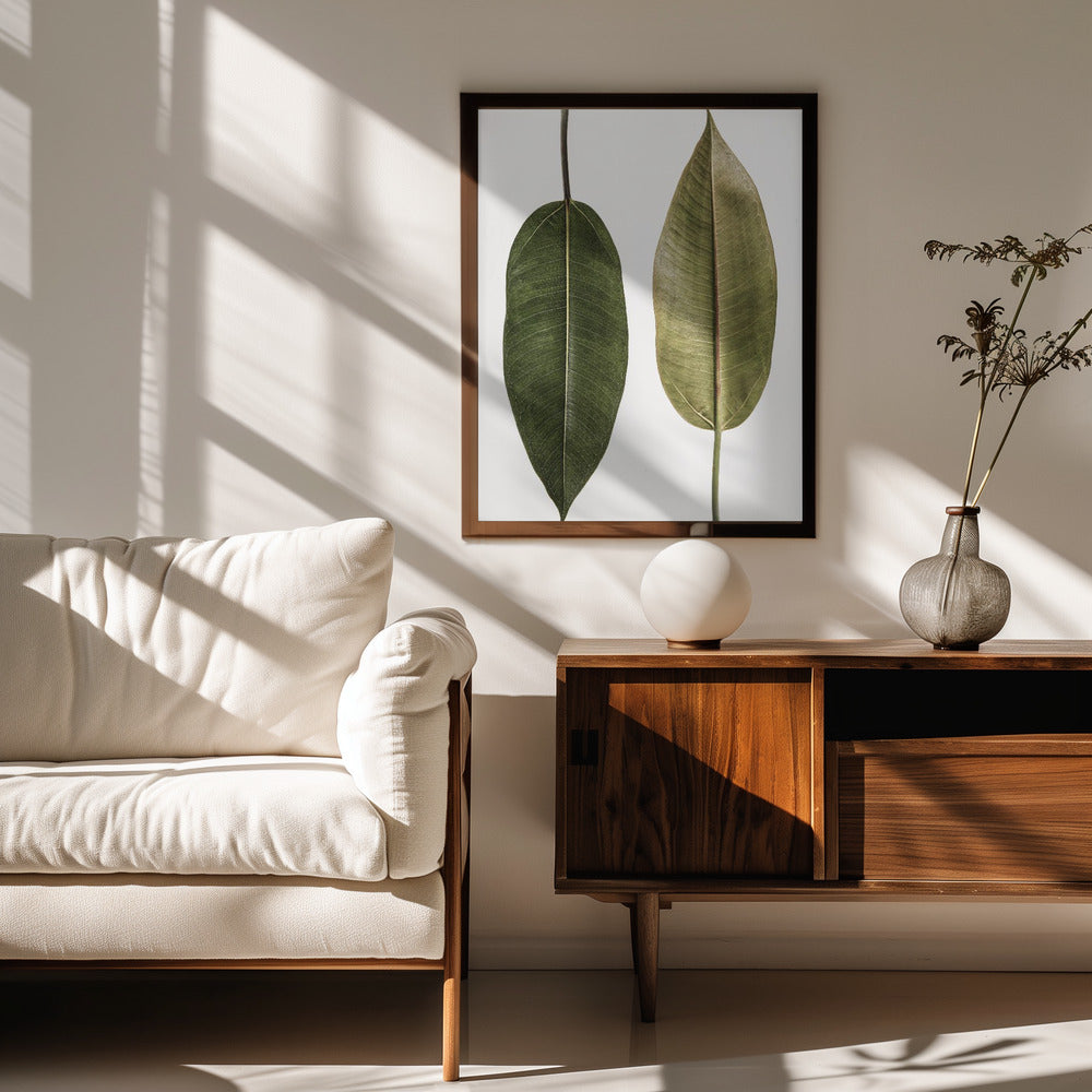 Leaf Study 05 Poster