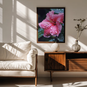 Pink Hibiscus Poster