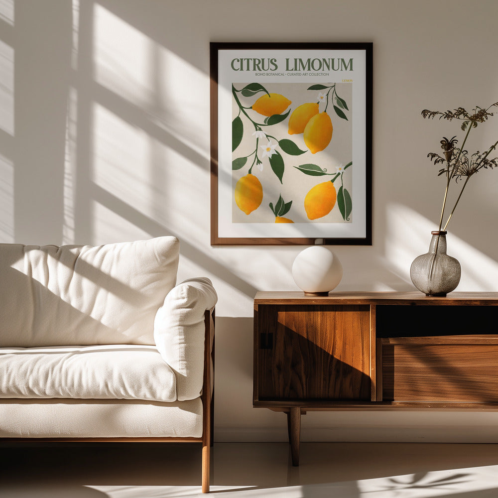 Citrus Limonum - Lemon Poster