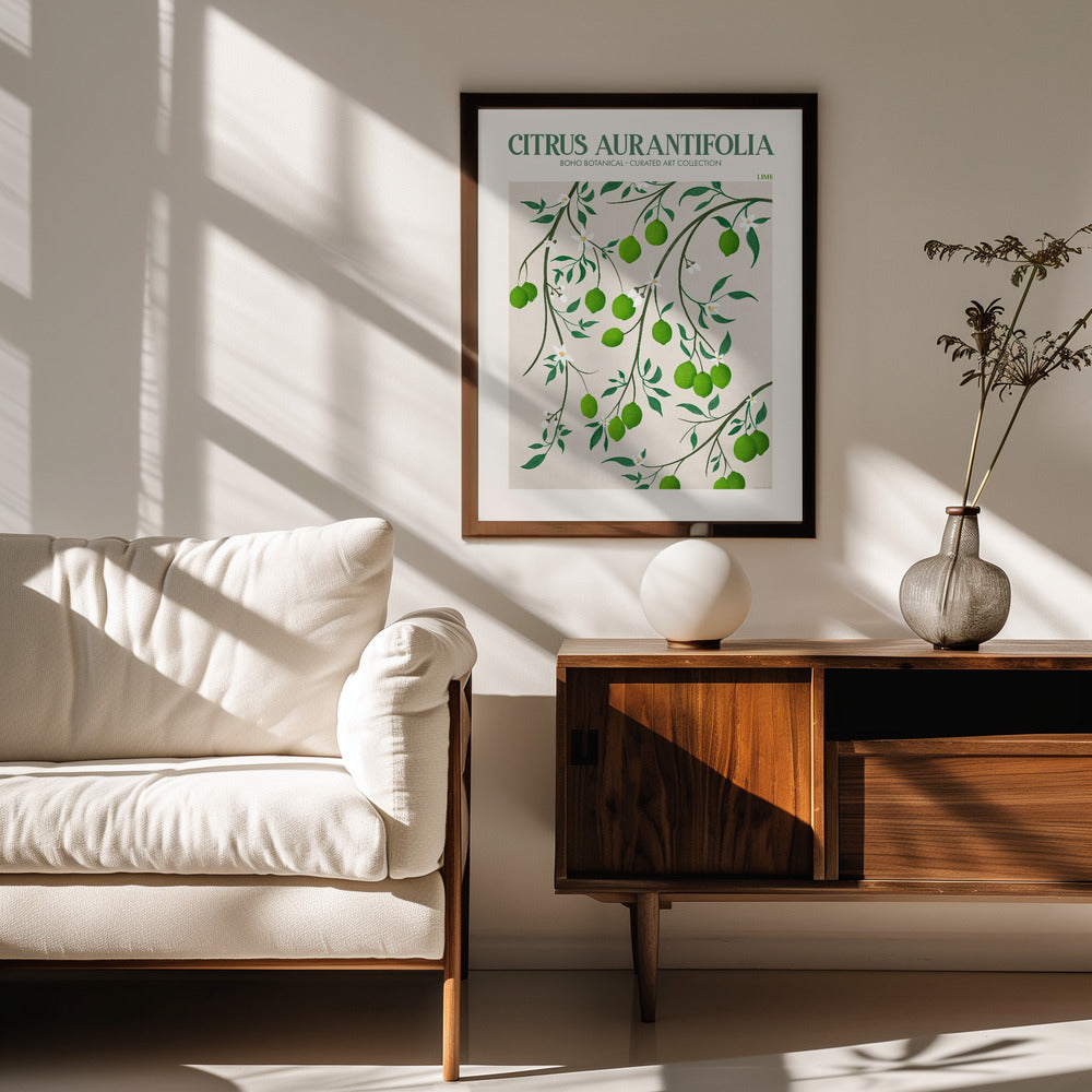 Citrus Aurantifolia - Lime Poster