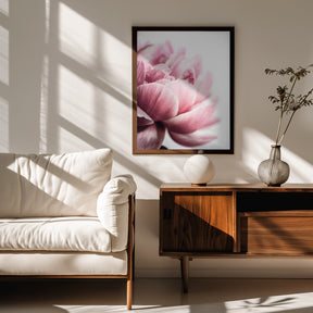 Peony 1 Poster