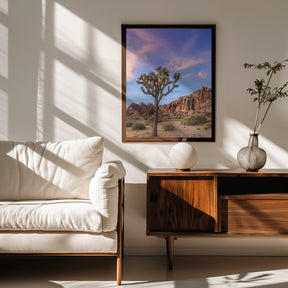 Joshua Tree Evening Atmosphere Poster