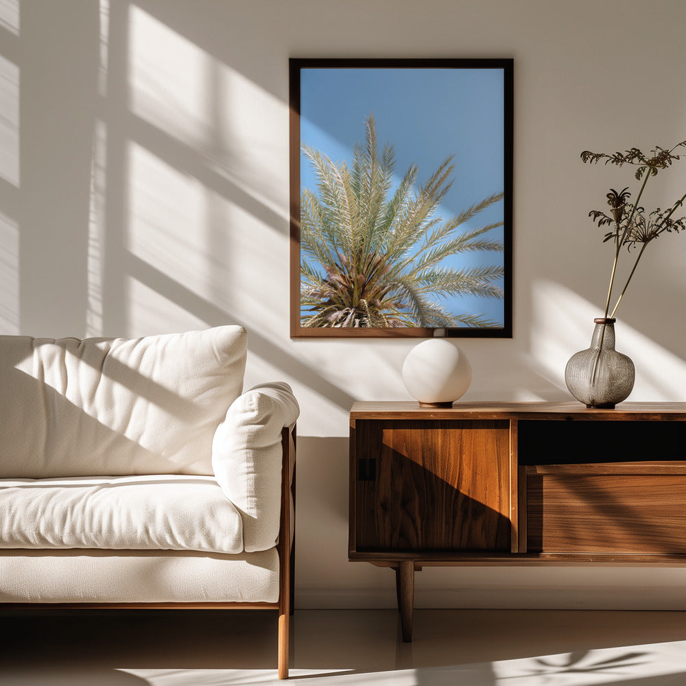 Moroccan Coast Palm Tree Poster