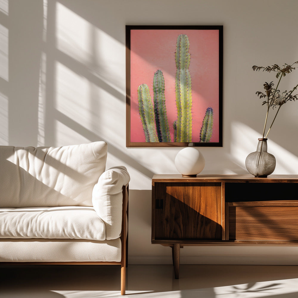 Pretty Pink Cactus Marrakech Poster