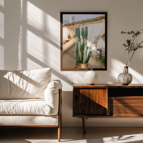 Rooftop Cactus | Morocco Travel Photography Poster