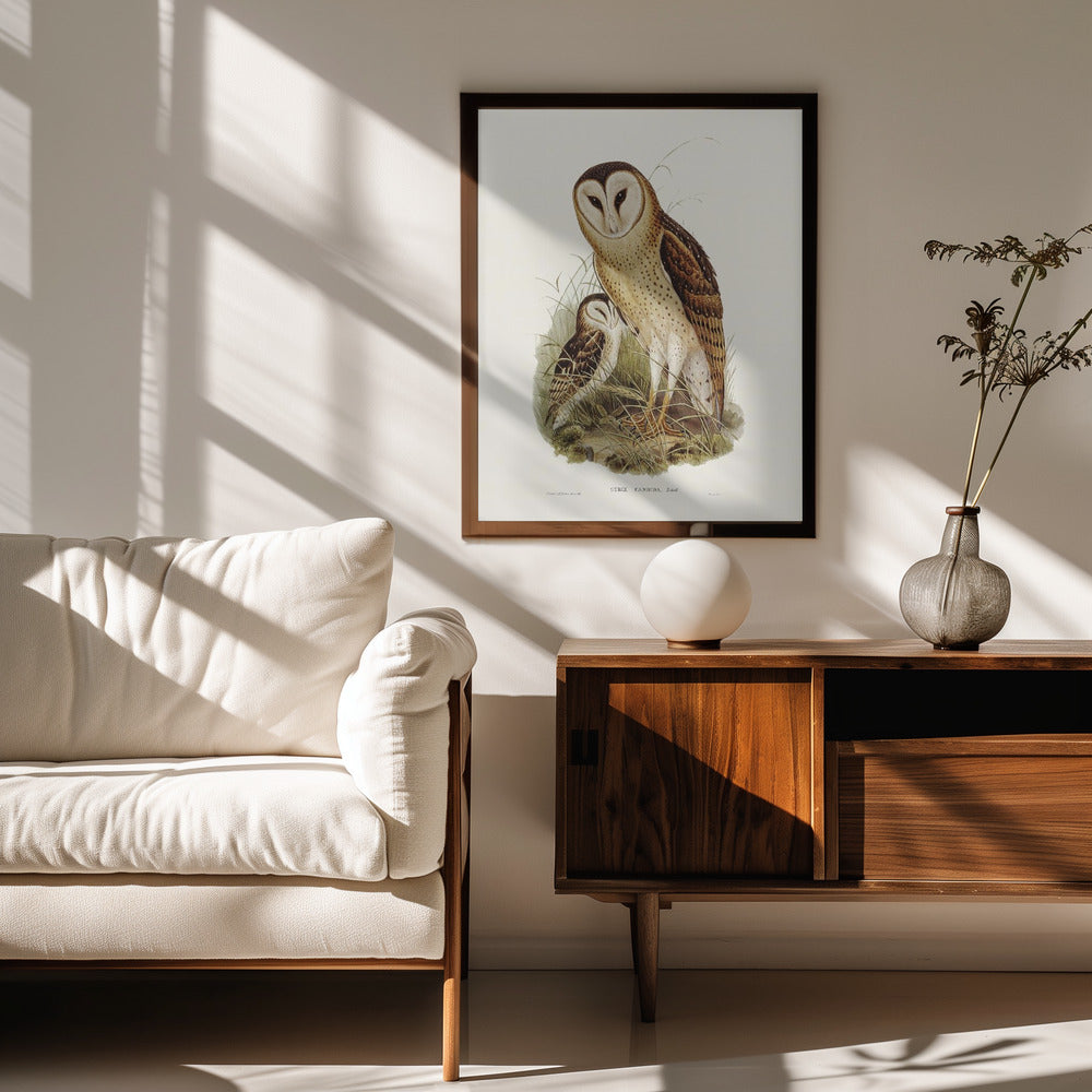 Grass Owl Poster