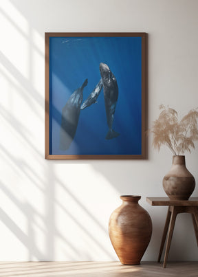 Sperm whale family Poster