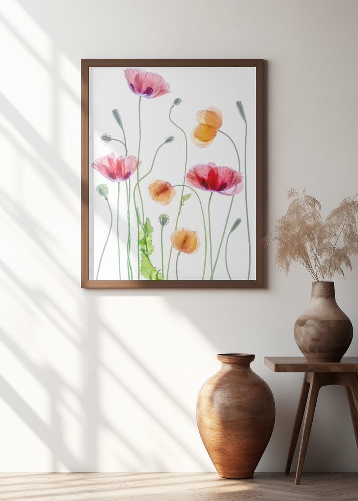 Poppies Poster