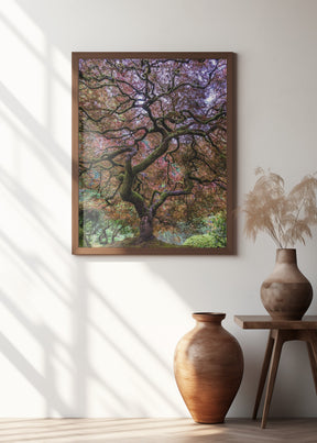 Japanese Maple Tree Poster