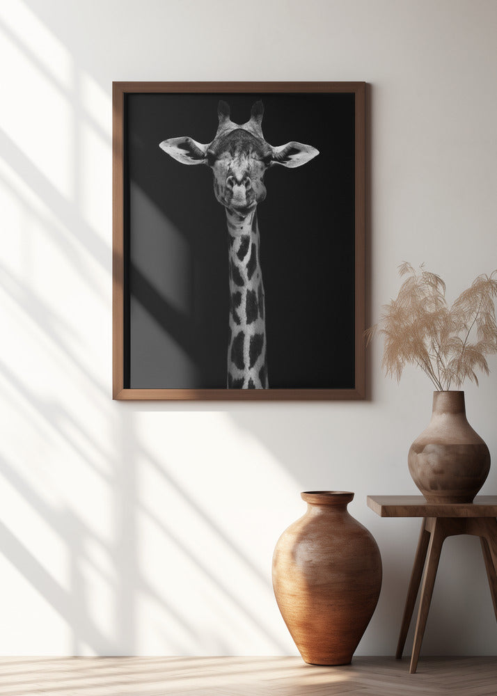 Giraffe Portrait Poster