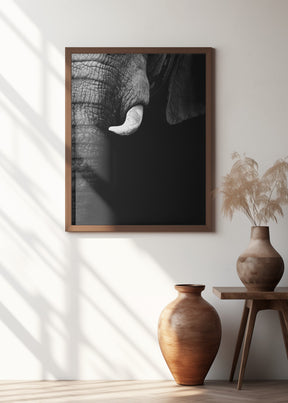 Elephant Portrait Poster