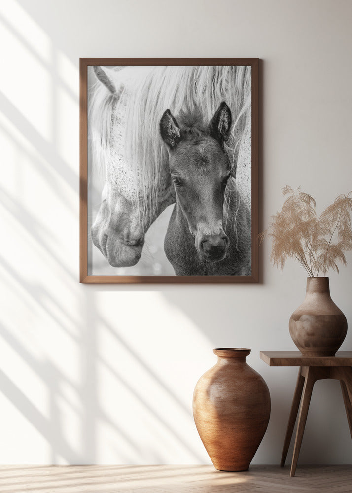 The Foal Poster