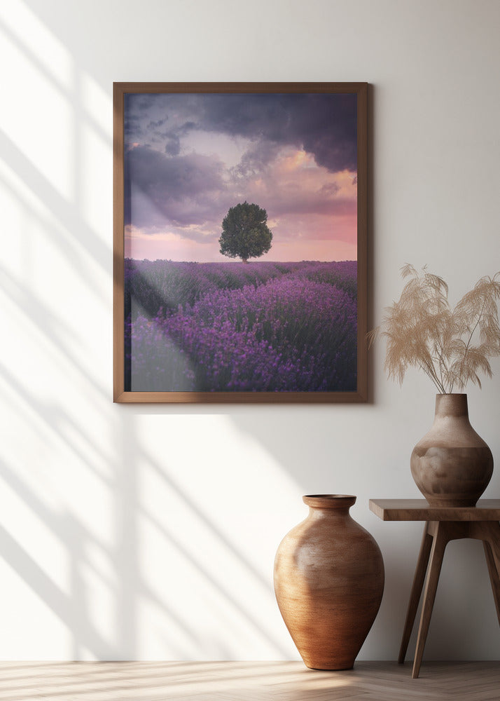 Lavender Fields, Isparta Poster