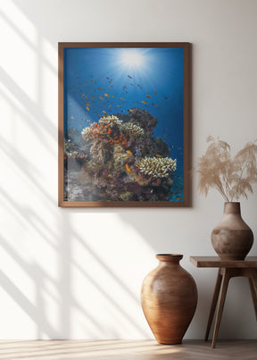 Reef and sunshine Poster