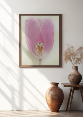 The Lemur Tree Frog and the Pink Tulip Poster