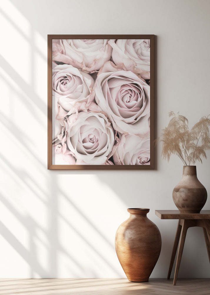 Pink Roses No 01 Poster