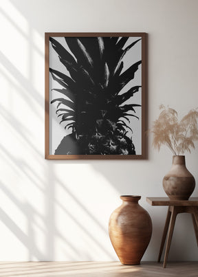 Pineapple bw Poster