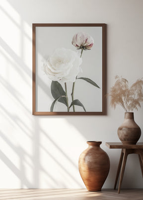 Peony 12 Poster