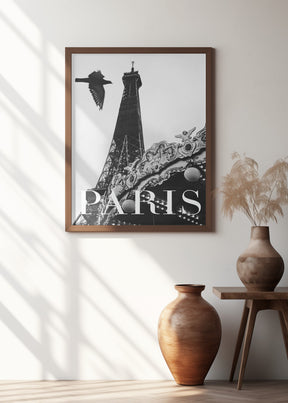 Paris Dove Poster