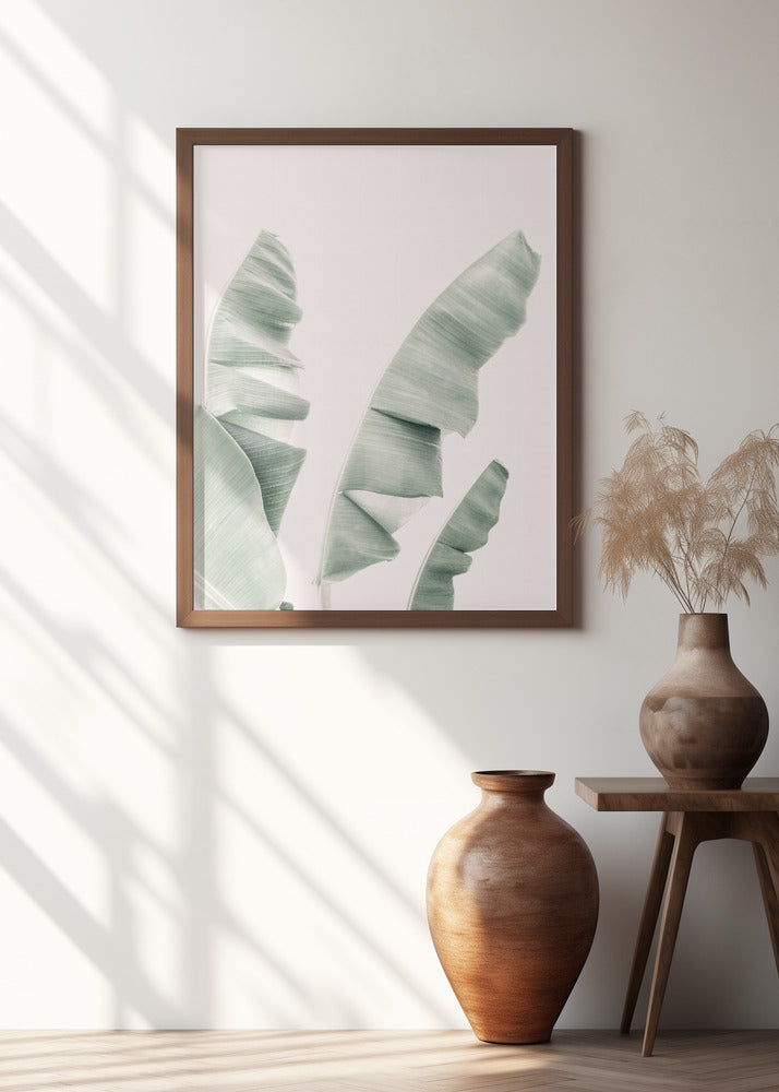 Blush Banana Leaves Poster