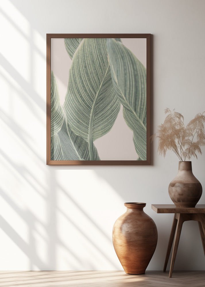 Calla Leaf Poster