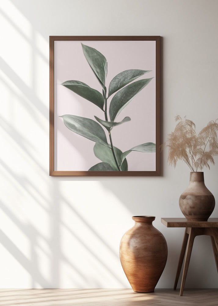 Foliage on Pink Poster