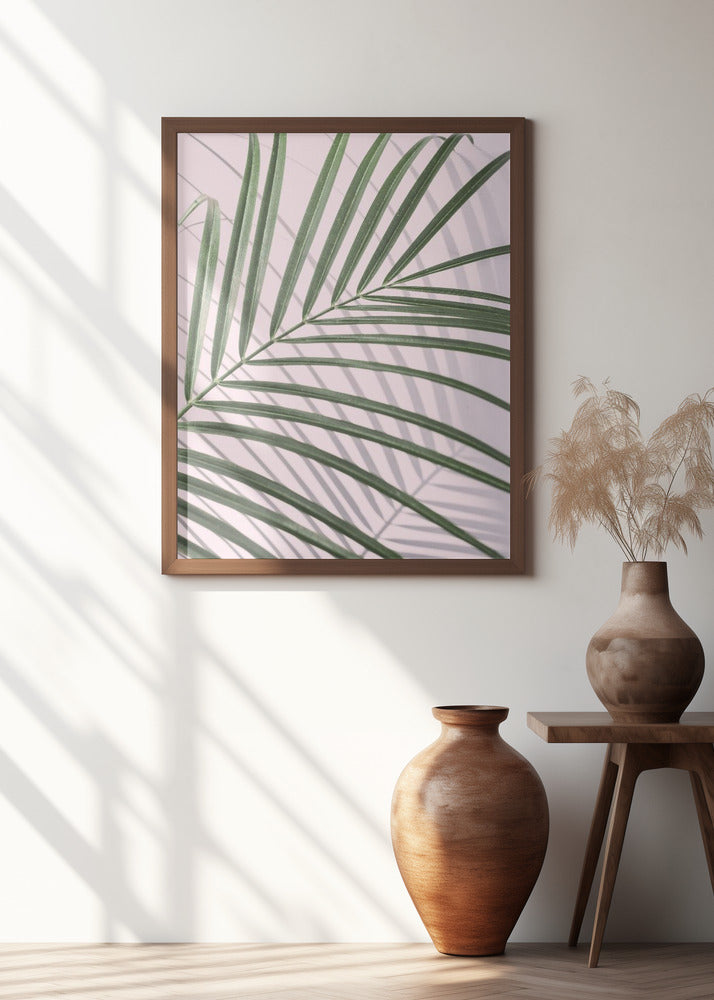 Palm Leaf Shadow Poster