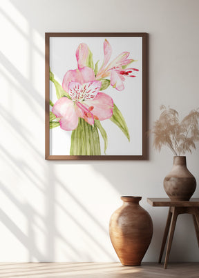 Pink watercolor alstroemeria Poster