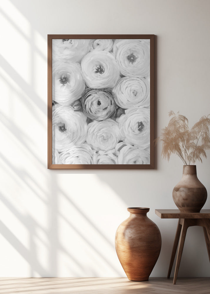 Singular ranunculus gray Poster