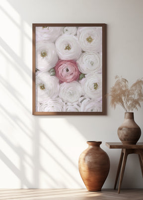 Singular ranunculus in blush Poster